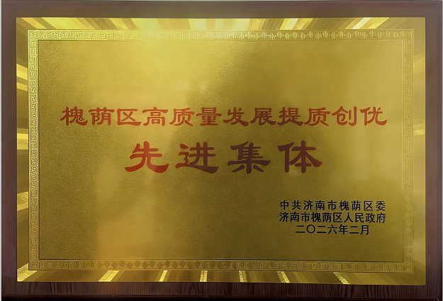 喜報！市政管網公司榮獲“槐蔭區高質量發展提質創優先進集體”